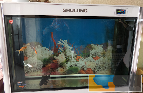 白色闽江水晶底滤循环鱼缸长120cm宽43cm高155cm