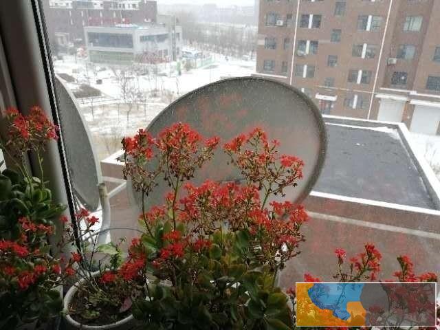 卫星户户通天线