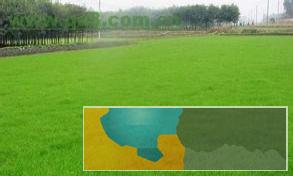 厂家直销五环连接口悬浮地垫 草坪 墙裙各种幼儿园用品