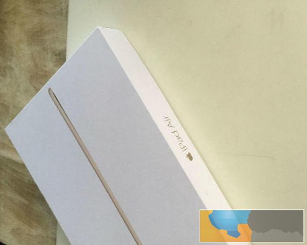 才几个月的国行ipad air2金色64G wifi版 箱说