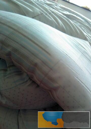 全新艾莱依羽绒被专卖店