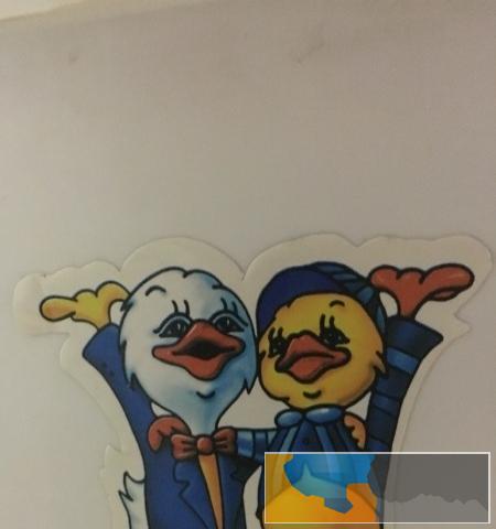 转卖8成新双杠洗衣机小鸭牌