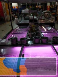 刚买的不到半月冷柜