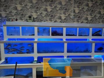 自家酒楼定制海鲜池