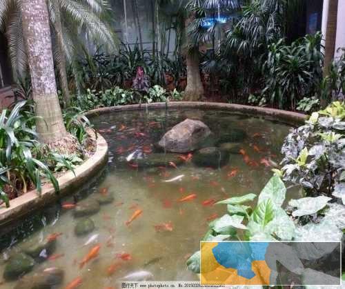 进口珠海/中山/广州/江门商家 中山水族鱼缸价格 珠海市香洲