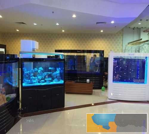 中山水族鱼缸-哪里有鱼缸-珠海市香洲龙鱼世家水族馆