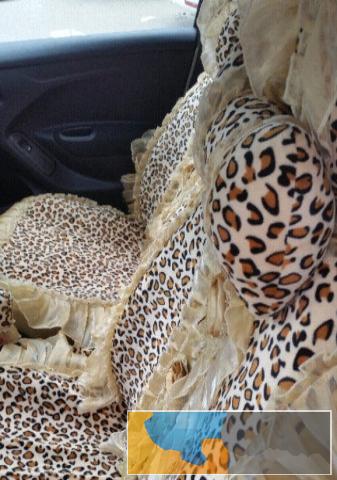 雪铁龙全新爱丽舍汽车座套3套