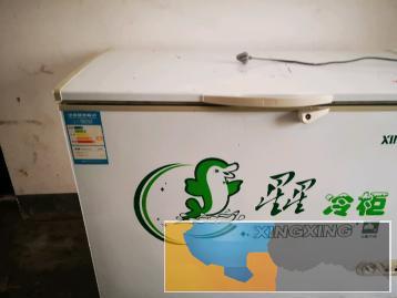 家用冰箱冷冻柜，无修无拆
