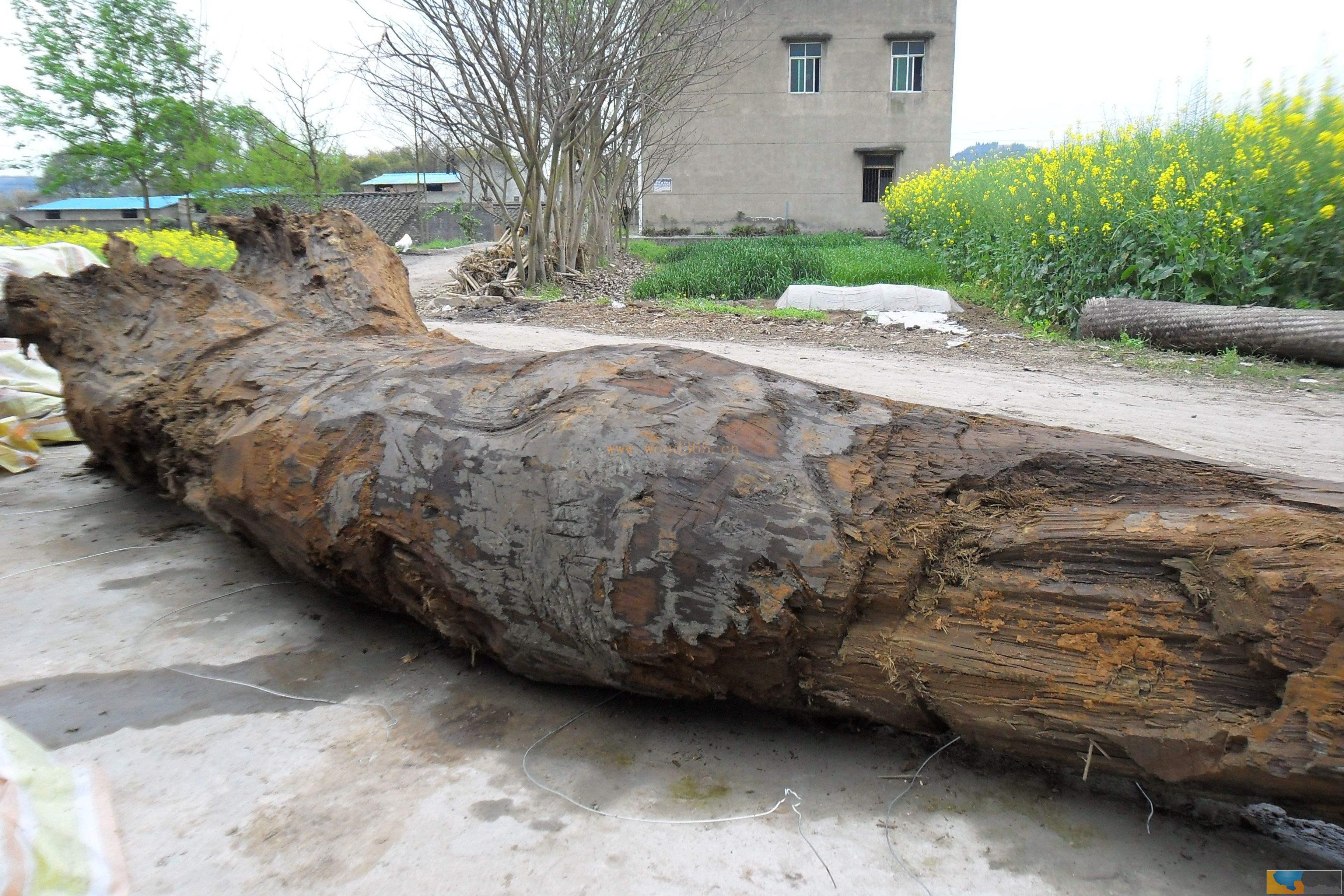 昭通鸡蛋灌饼培训一人报名二人学习 新闻