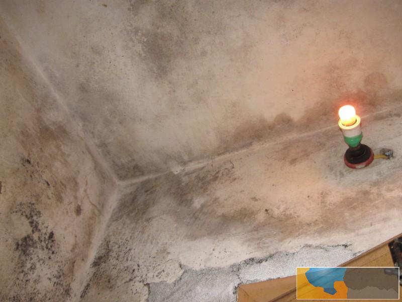 含山专业油漆工,房屋维修,旧墙翻新,墙皮脱落,渗水,发霉