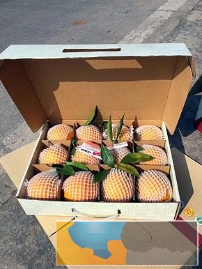 四川成都包装纸盒 水果包装 特产包装制作