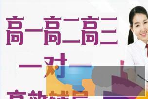 高一高二高三化学 专补化学 精准辅导