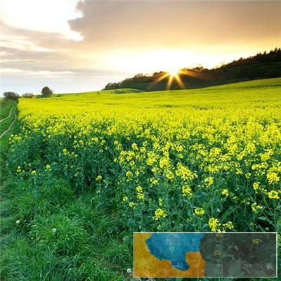 吉林省成人高考