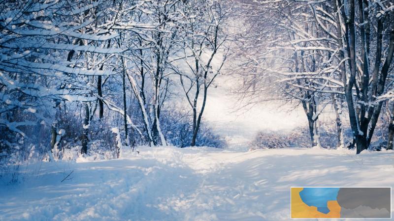 延边大学成教学费