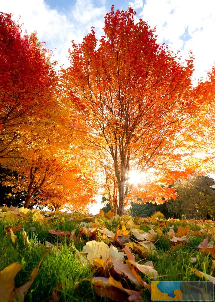 长春理工大学成人高考报名须知