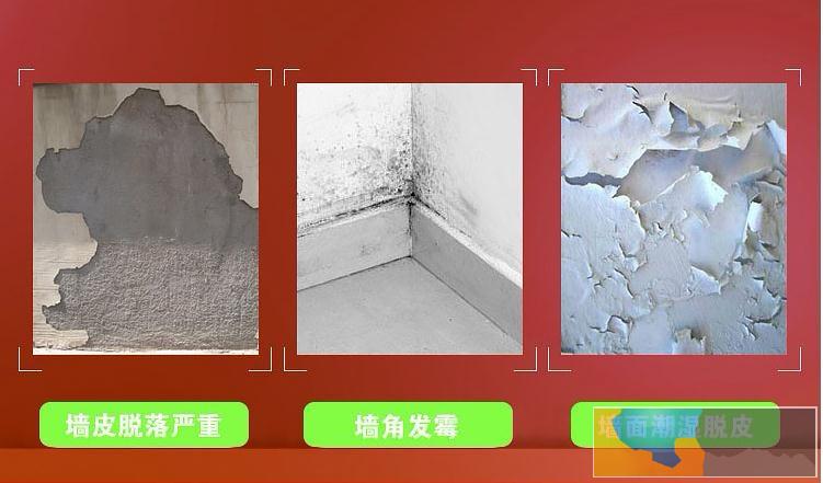 墙面扇灰滚涂料-百安居建材超市服务部