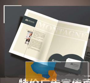 东营单页彩页画册纸袋pvc卡无碳复写印刷送货