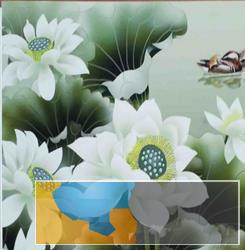 清远饰纪尚品集成装修墙面墙板