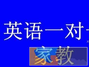 一对一家教辅导小学初高中英语可线上教学
