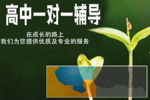 高一物理，高二物理，高三物理，专业老师一对一