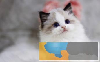 网红仙女猫劲爆超低价好礼相送