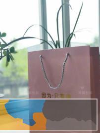 成都鸿铖包装专业设计及生产包装手提袋画册不干胶等