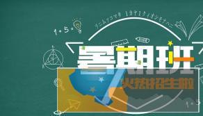 小学初高中暑假全科家教辅导，小升初升高专业老师上课