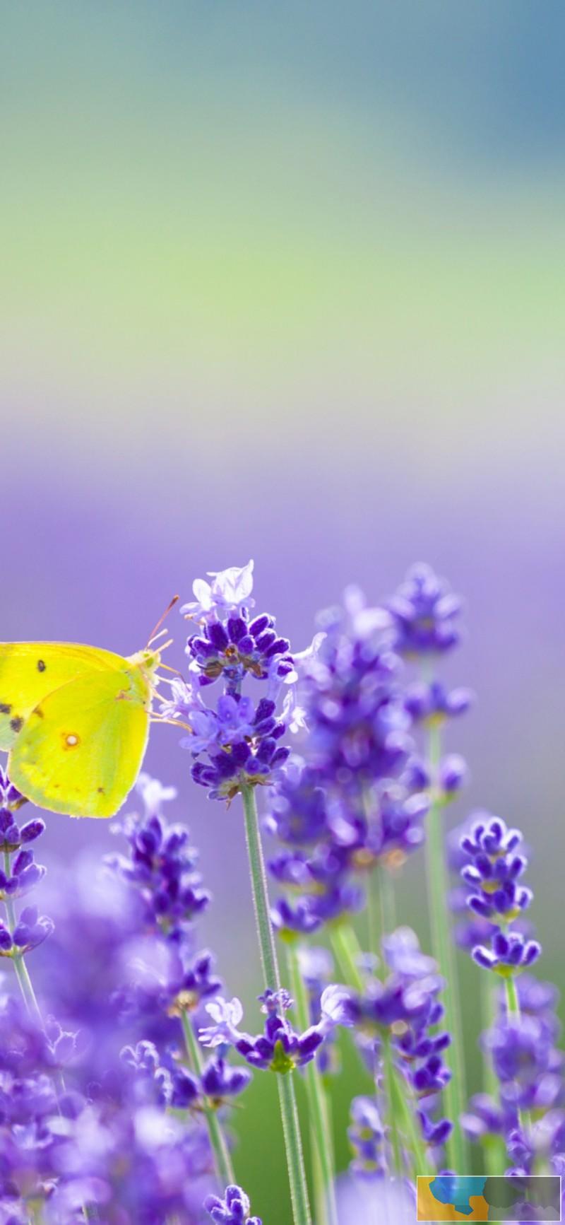 高中政治课辅导