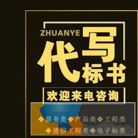标书制作编写，代写标书，办理投标办函，履约保函