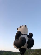 七台河热气球出租、热气球租赁、各种规格