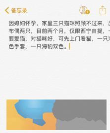 自家布偶猫两只出售