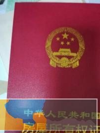 澄江诚信定制各种趣味证书和所常见证书与壳壳等送货上门