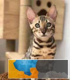 通化学历班招生中心 学历班招生中心报名价格