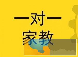 厦门九年级物理作业辅导家教