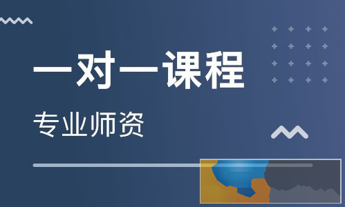 厦门补习五年级全科好/1对1辅导家教一般多少钱