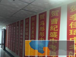 金博中小学家教辅导,寒假特训,特级教师授课,全科