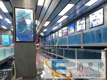 专业定做鱼缸，定做海鲜池