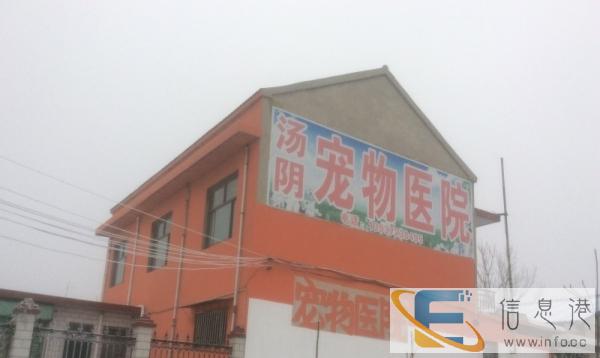 汤阴给宠物洗澡给狗狗洗澡美容