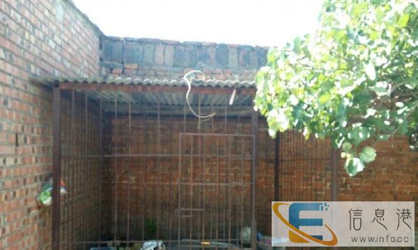 转让一个手工焊制大狗笼