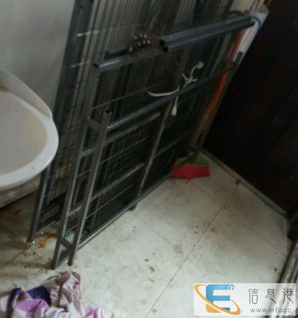 楼笼子急转让 明天就走