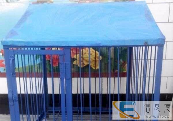 全新 狗用品 350元