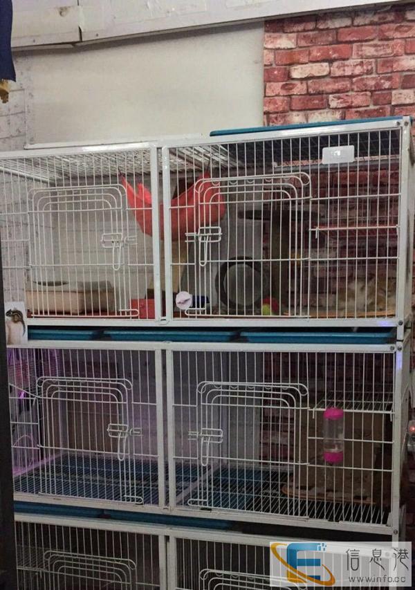 1.6米 三层猫笼，狗笼 清仓处理