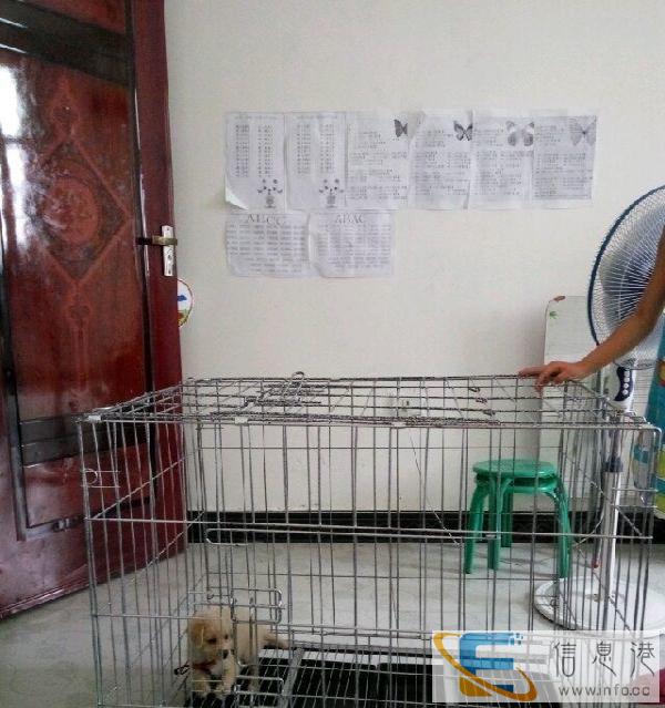 不锈钢的宠物笼子