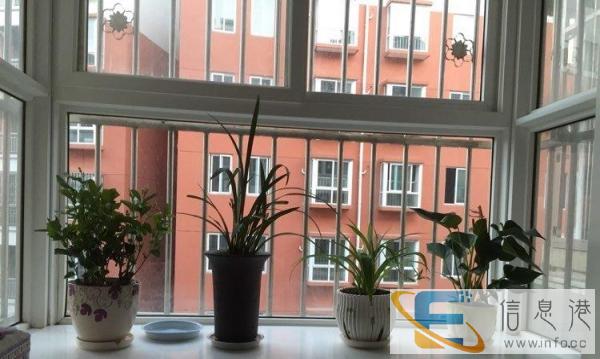 找一名带9个月大孩子的保姆