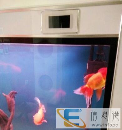 闽江上滤鱼缸1.2米宽