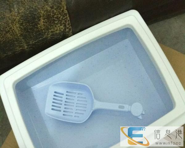 免费赠送猫砂盆和半袋猫砂