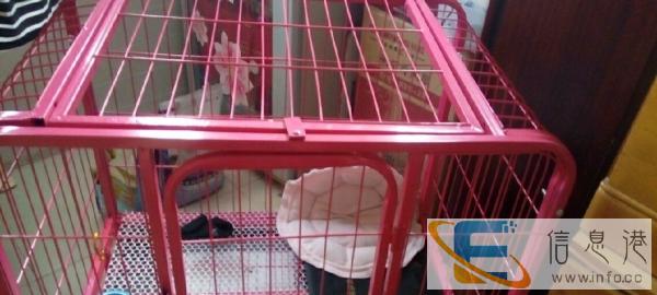 狗笼子，刚买没几天