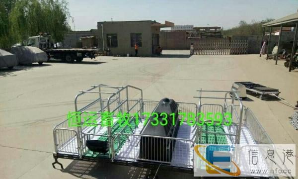 专业焊接批发零售母猪产床，定位栏，保育床等养殖设备