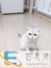 有意者请联系我，非诚勿扰