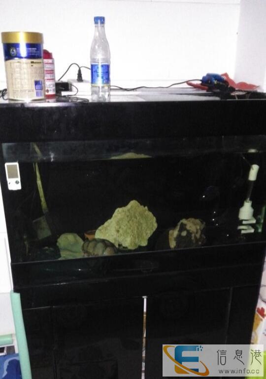 出售1米和500长鱼缸